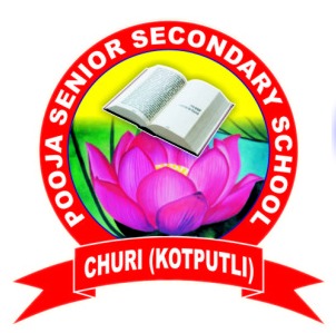 School Logo
